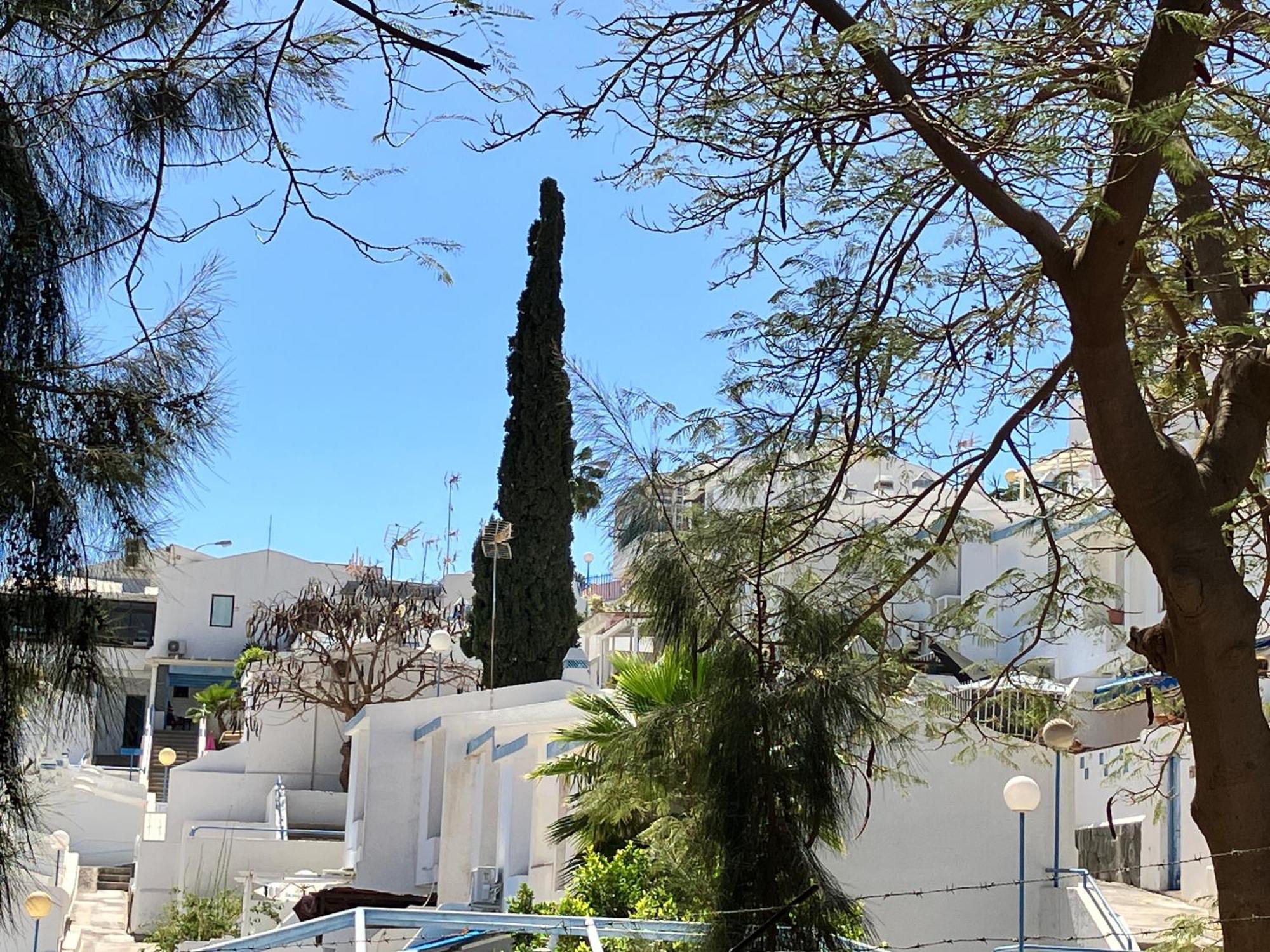 Casakash Sonnenland Apartment Maspalomas  Exterior photo